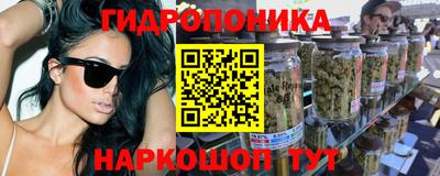 твердый Кингисепп