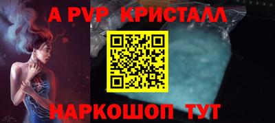 твердый Кингисепп
