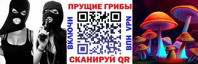 Псилоцибиновые грибы Psilocybine cubensis  Туймазы 