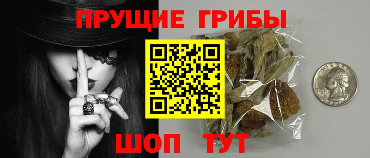 Туймазы  Галлюциногенные грибы Cubensis  наркота  Вход с VPN  Галлюциногенные грибы прущие грибы 